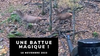 CHASSE AUX CERVIDÉS EN BATTUE  UNE BATTUE MAGIQUE [upl. by Leinaj]