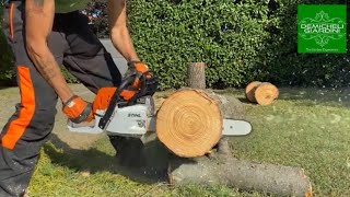 Prova Motosega Stihl MS 251 [upl. by O'Carroll]