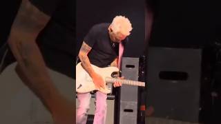 Mike destroys guitar amp LIVE 🔥 black pearljam guitarsolo mikemccready 2024 live shorts [upl. by Ellis]