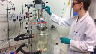 Chemistry careers  A day in the work life of a chemist [upl. by Gisella]