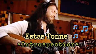 Amazin acoustic guitar  Estas Tonne  introspection [upl. by Nneb988]