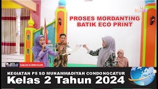 KEGIATAN P5 PROSES MORDANTING DALAM BATIK ECO PRINT KELAS 2 SD MUHAMMADIYAH CONDONGCATUR [upl. by Hastie]