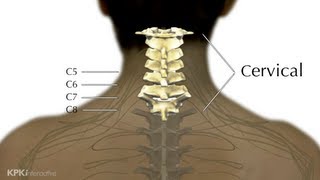 5B Levels of Injury Explained  Low Cervical  Spinal Cord Injury 101 [upl. by Naget16]