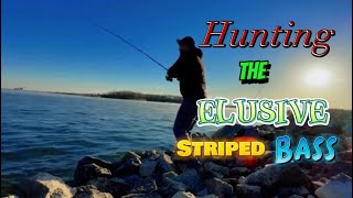 Episode 7 Hunting the elusive Hybrid Stripe Bass Braidwood Lake Illinois USA fishing [upl. by Bahr538]