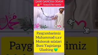 Paygambarimiz Muhammad sav Muborak sochlari ♥️ shortsviral shoes rek uzkino viralvideo [upl. by Llennoc]