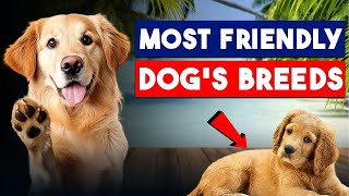 Meet the top 10 friendliest dog breeds [upl. by Gypsie]