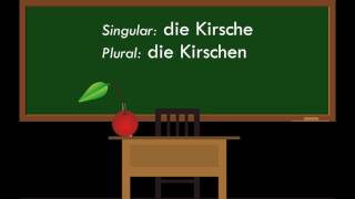 BILD WÖRTERBUCH quotdie Kirsche  cherryquot  Deutsch ⇔ Englisch  German English ♫  Picture [upl. by Anglo918]