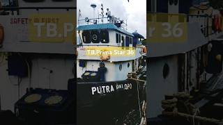 TBPrima Star 36⚓Drawing Muster point marktb tugboat [upl. by Ynove206]