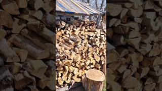 DIY Woodshed [upl. by Maffa435]