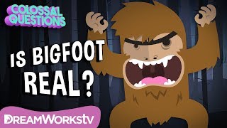 Could Bigfoot Be Real  COLOSSAL QUESTIONS [upl. by Veljkov6]