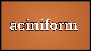 Aciniform Meaning [upl. by Enilhtak340]