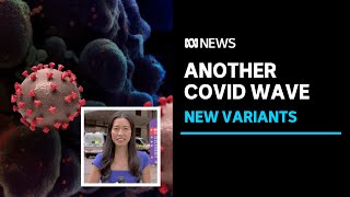 NSW and Victoria seeing another wave of COVID infections  ABC News [upl. by Godderd711]