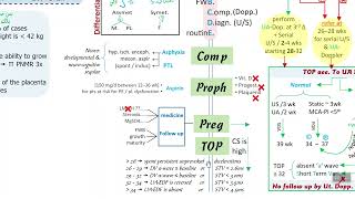 FGR3 Fetal Growth Restriction [upl. by Aloisia]