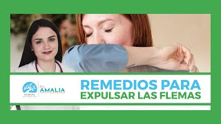 Remedios para expulsar las flemas [upl. by Noemys863]