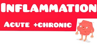 Pathology Lecture Inflammation Part 3 Leucocyte Extravasation From First Aid [upl. by Rehpinej426]