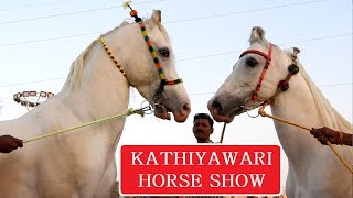 कठियावरी हॉर्स शो  KATHIYAWADI STALLION RING  SARANGKHEDA  Indian Horses [upl. by Maighdiln426]