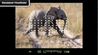 Canon EOS 5D Mark III  Tutorial AF Area Selection 114 [upl. by Jacquetta]