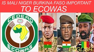 ECOWASAES  WOW ANOTHER SHOCKING TURN news africa reaction [upl. by Terina]