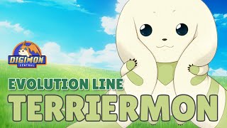 Terriermon Evolution Line [upl. by Solakcin]