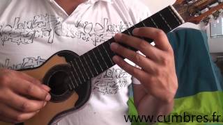 El Puelche en charango Tutorial [upl. by Porush]