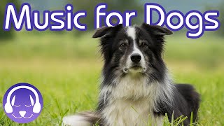 15 Hours of Soothing Dog Therapy Music  INSTANTLY Calm My Dog Down TESTED [upl. by Medin728]