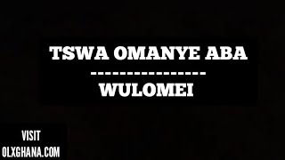 Wulomei  Tswa Omanye Aba Audio [upl. by Sorcim]