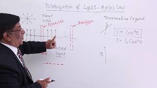 Class 12th – Polarization of LightMalus Law  Wave Optics  Tutorials Point [upl. by Enwad]