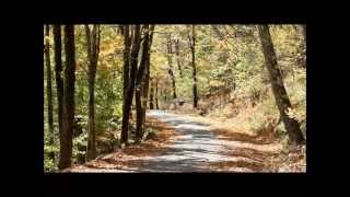 Fall Hiking on Pack Monadnock Miller State Park [upl. by Niawd]