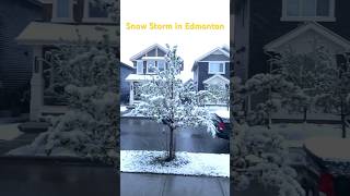 Snow Storm in Edmonton Alberta Canada Weather in Alberta Heavy Snow fall in Edmonton Calgary [upl. by Adest]