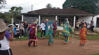 Chegada da folia de reis na casa da Maria do Rosário [upl. by Claybourne697]