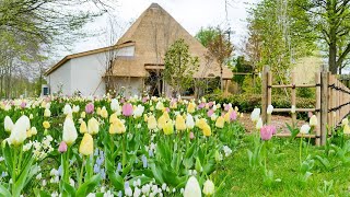 Floriade Expo 2022 AmsterdamAlmere [upl. by Myers]