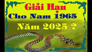 Nam 1965 Ất Tỵ trong năm 2025 có Hạn gì  Cách hóa giải để bình an [upl. by Enobe]