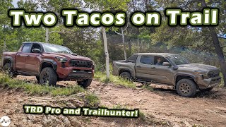 Tacoma TRD Pro vs Trailhunter – Impressions Offroading and Packaging [upl. by Aiciram]