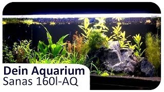 Sanas 160lPfütze  Dein Aquarium 4 [upl. by Chevalier]