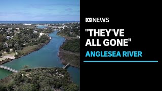 Anglesea River is wearing cost of mine pit rehabilitation locals fear  ABC News [upl. by Natsuj514]