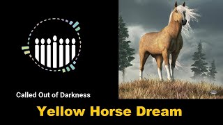 Dana Coverstones Yellow Horse Dream [upl. by Monda]