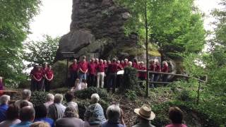 Oh Schwarzwald meine Heimat  Chorgemeinschaft Sasbachwalden  Tonarten 2015 [upl. by Kayla]