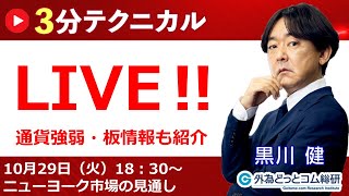 見通しズバリ！3分テクニカル分析「ライブ‼」 NY市場の見通し 2024年10月29日 [upl. by Naujak600]