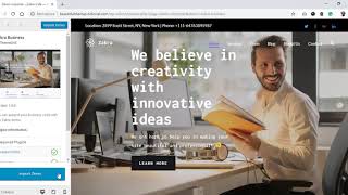 How to import demo content for Zakra WordPress theme [upl. by Wolfgang]