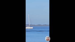 Sunday afternoon by the Ijselmeer [upl. by Allveta594]