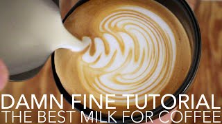 DAMN FINE TUTORIAL  The Best Milk For Coffee [upl. by Arimay]