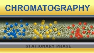 Chromatography Animation IQOGCSIC [upl. by Clea948]