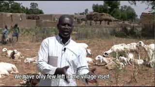 Mahamane Diallo  BouwÃ©rÃ© village Mali [upl. by Richella991]