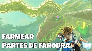 La mejor forma de conseguir partes de Farodra  The Legend of Zelda Breath of the Wild 2024 [upl. by Zizaludba]