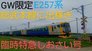 【千葉県】山武路のｶﾝﾄｶｰﾌﾞを駆け抜けるE257系500番台「臨時特急しおさい81号」銚子行 総武本線 山武市 [upl. by Aivil]