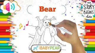 Colour a Cute Bear 🎨🐻 Fun Facts Storytime amp Adventure  Baby Pear UK kidslearning coloring fyp [upl. by Glovsky]