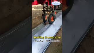 1Row Seedling Transplanter [upl. by Blayne295]