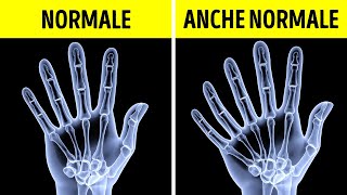 Le Scoperte Scientifiche Che Hanno Reso Fantastico Il 2019 [upl. by Euqinot297]