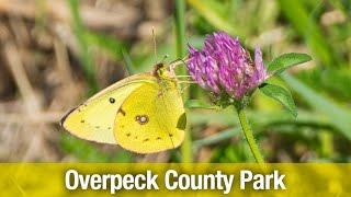 Overpeck County Park 09172023 [upl. by Abroms104]