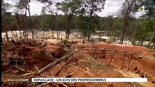 Orpaillage  les avis des professionnels [upl. by Aneehsat]